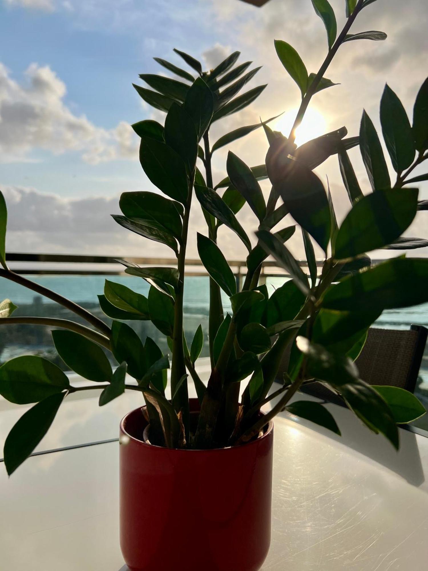 Oceanview Apartment Ла Манга Дел Мар Менор Екстериор снимка